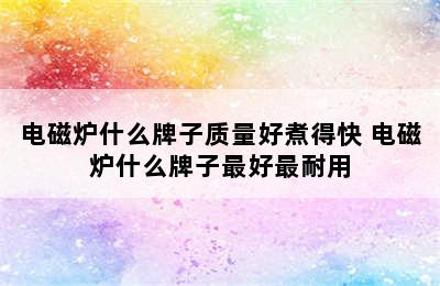 电磁炉什么牌子质量好煮得快 电磁炉什么牌子最好最耐用